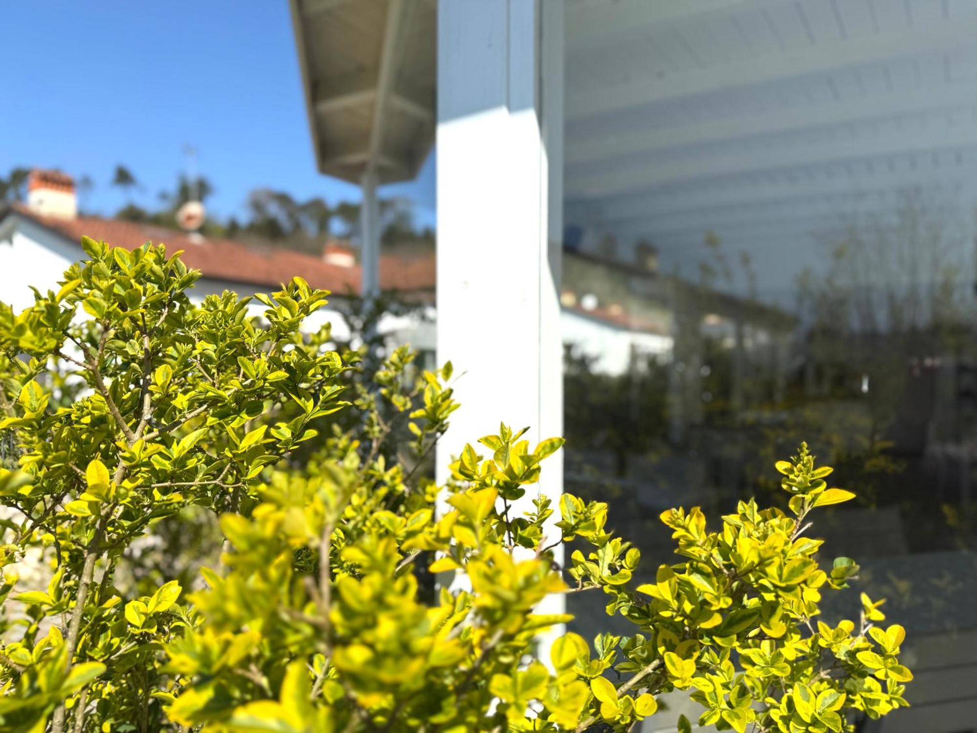 Le Village Sarzana Exterior photo